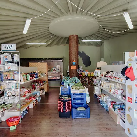 Club Del Sole Le Mimose Family