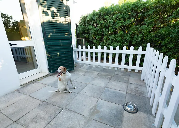 Club Del Sole Le Mimose Family Κάμπινγκ Porto SantʼElpidio