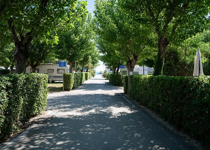 Club Del Sole Le Mimose Family *